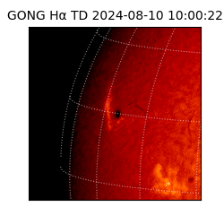 gong - 2024-08-10T10:00:22