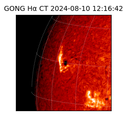 gong - 2024-08-10T12:16:42