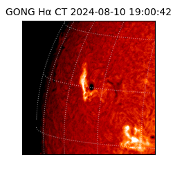 gong - 2024-08-10T19:00:42