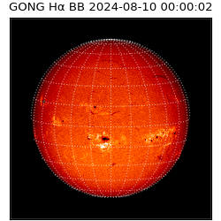 gong - 2024-08-10T00:00:02