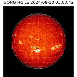 gong - 2024-08-10T03:00:42