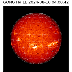 gong - 2024-08-10T04:00:42