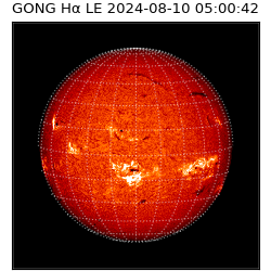 gong - 2024-08-10T05:00:42