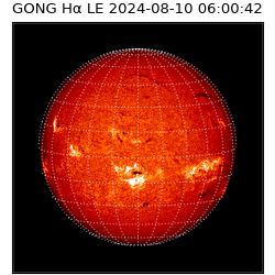 gong - 2024-08-10T06:00:42