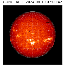 gong - 2024-08-10T07:00:42