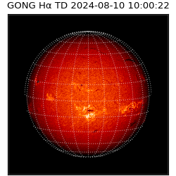 gong - 2024-08-10T10:00:22