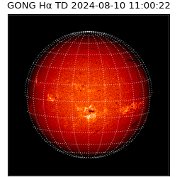 gong - 2024-08-10T11:00:22