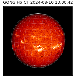 gong - 2024-08-10T13:00:42