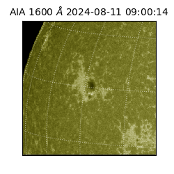 saia - 2024-08-11T09:00:14.129000