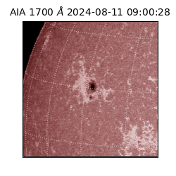 saia - 2024-08-11T09:00:28.718000