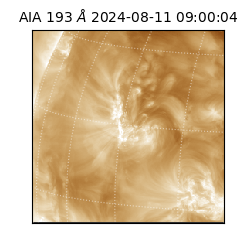 saia - 2024-08-11T09:00:04.843000