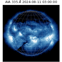 saia - 2024-08-11T03:00:00.625000