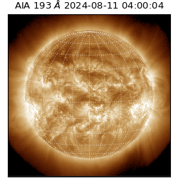 saia - 2024-08-11T04:00:04.843000