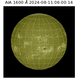 saia - 2024-08-11T06:00:14.125000