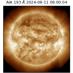 saia - 2024-08-11T08:00:04.843000