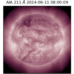 saia - 2024-08-11T08:00:09.626000