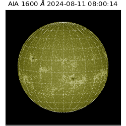 saia - 2024-08-11T08:00:14.126000