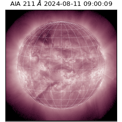 saia - 2024-08-11T09:00:09.630000