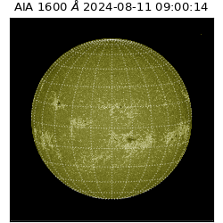 saia - 2024-08-11T09:00:14.129000