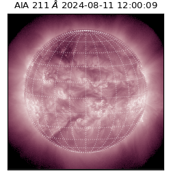 saia - 2024-08-11T12:00:09.626000