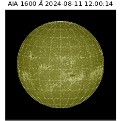 saia - 2024-08-11T12:00:14.130000