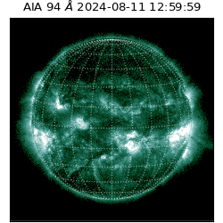 saia - 2024-08-11T12:59:59.115000