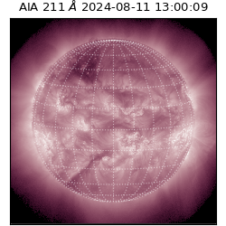 saia - 2024-08-11T13:00:09.623000