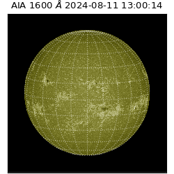 saia - 2024-08-11T13:00:14.129000