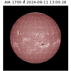 saia - 2024-08-11T13:00:28.720000