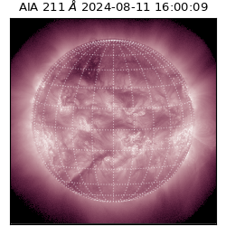 saia - 2024-08-11T16:00:09.626000