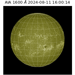 saia - 2024-08-11T16:00:14.130000