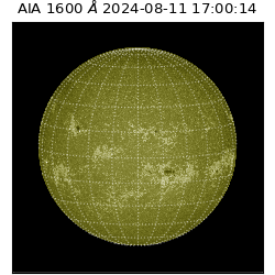 saia - 2024-08-11T17:00:14.126000