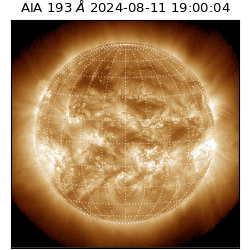 saia - 2024-08-11T19:00:04.843000