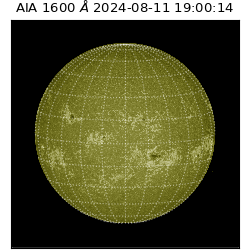 saia - 2024-08-11T19:00:14.126000