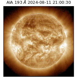 saia - 2024-08-11T21:00:30.936000