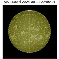 saia - 2024-08-11T22:00:14.129000