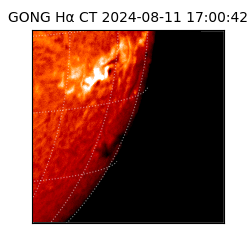 gong - 2024-08-11T17:00:42