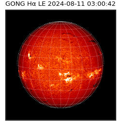 gong - 2024-08-11T03:00:42