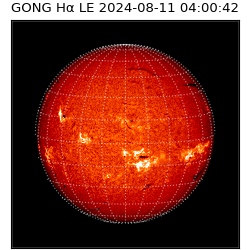 gong - 2024-08-11T04:00:42