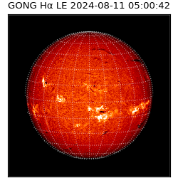 gong - 2024-08-11T05:00:42