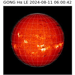 gong - 2024-08-11T06:00:42