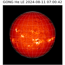 gong - 2024-08-11T07:00:42