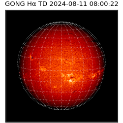 gong - 2024-08-11T08:00:22