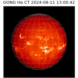 gong - 2024-08-11T13:00:42