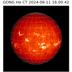 gong - 2024-08-11T16:00:42