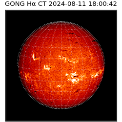 gong - 2024-08-11T18:00:42