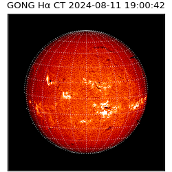 gong - 2024-08-11T19:00:42
