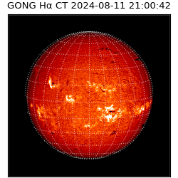gong - 2024-08-11T21:00:42