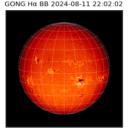 gong - 2024-08-11T22:02:02