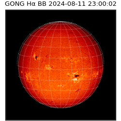 gong - 2024-08-11T23:00:02